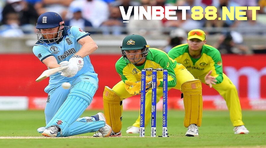 Cricket Vinbet thu hút người chơi với đa dạng kèo cược