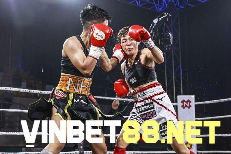 Luật chơi cá cược boxing hiện nay đang được áp dụng