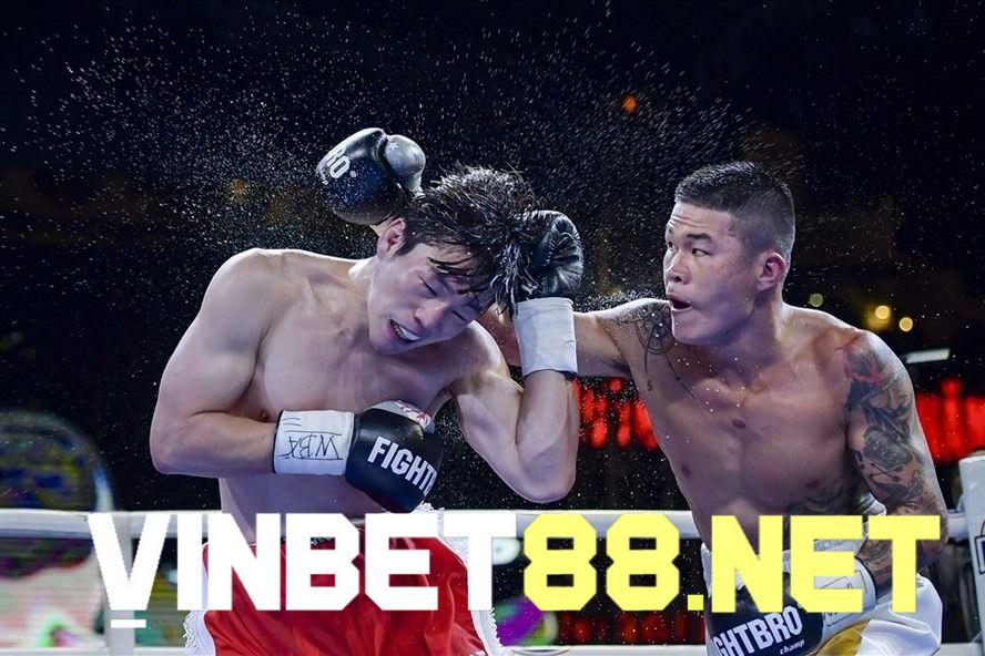 Cá cược boxing trực tuyến là môn thể thao hấp dẫn, kịch tính