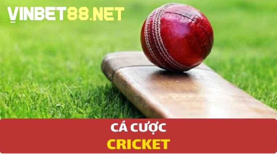 Cá cược Cricket có những quy định cụ thể