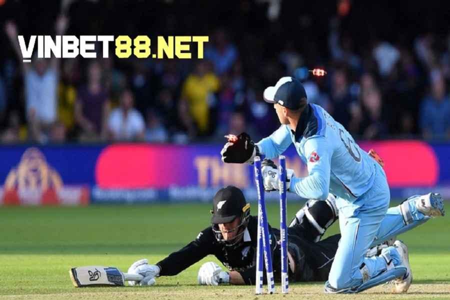 Một số mẹo chơi cá độ Cricket dễ thắng nhất