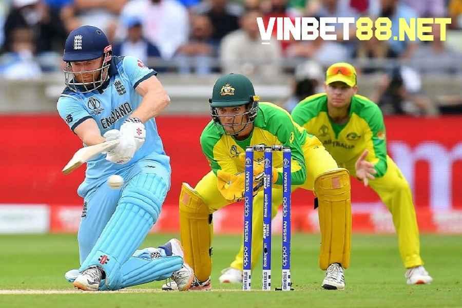 Cricket là bộ môn thể thao hấp dẫn được yêu thích