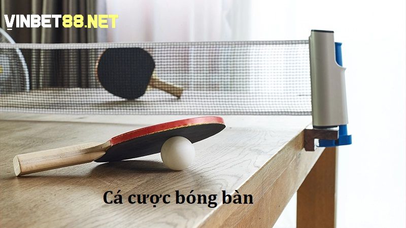 Cá cược bóng bàn được đánh giá cao bởi sự hấp dẫn